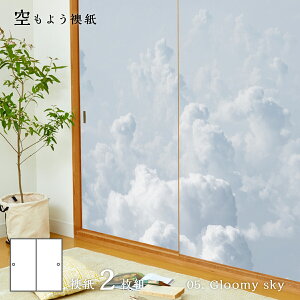 ӂ܎ 悤 sky-05F Gloomy sky 91cm×182cm 21g œ\^Cv ATqy m   _ ܂  A[g fUC Ď ӂ