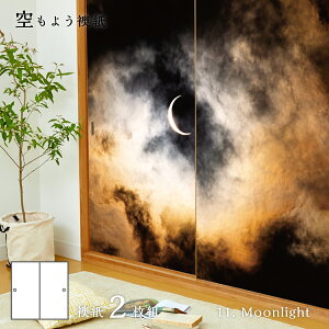 ӂ܎ 悤 sky-11F Moonlight 91cm×182cm 21g œ\^Cv ATqy m     _  A[g fUC Ď ӂ