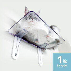 LbgXebv PC4022 ybgpi ybg