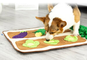 y|Cg5{ 12/4 20:00`12/11 01:59܂ŁzT}bgؔ ybgpi ybg