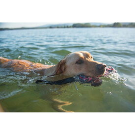 EZDOG ビーバーテイル S ロープ 水遊び 犬用おもちゃ イージードッグ 水に浮くおもちゃ