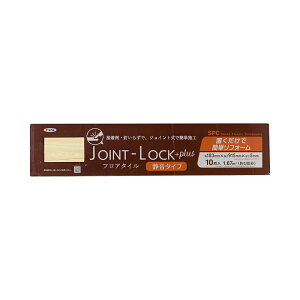 ATqy  tA^C É^Cv JOINT-LOCK+plusiWCgbN vXj 10 1