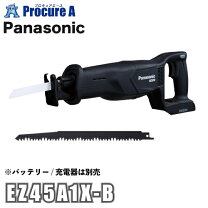 楽天市場】panasonic ez45a1の通販