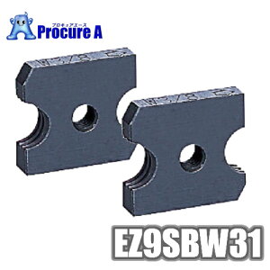 �p�i�\�j�b�N/Panasonic �S�l�W�J�b�^�[�����nW3/8 EZ9SBW31 2��1�g