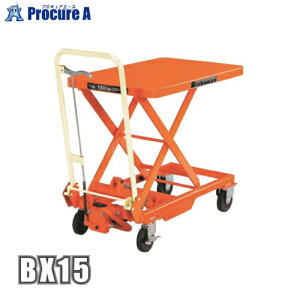 rV t^[BXi蓮ji݃y_j BX-15 ijXMX yϕszKO521