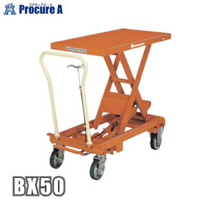 rV t^[BXi蓮ji݃y_j BX-50 (jXMX yϕszKO521