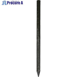匤 [؍Y60X1200_[NuE Ȃ G6012DBN 1{ 134-7444 ysxρz
