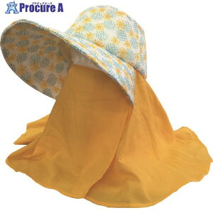 Ag ₩[Nnbg tFCXK[h VYN G23-4 10 137-9774 lls