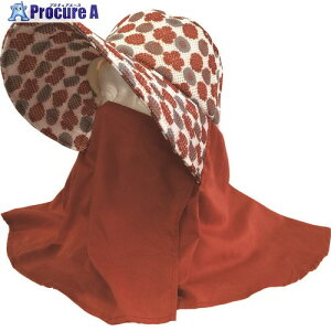 Ag ₩[Nnbg tFCXK[h t[bh G23-2 10 137-9789 lls