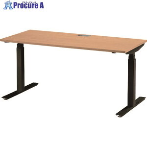 TOKIO 電動昇降式ワークデスク 間口1600×奥行700×高さ700〜1250mm ナチュラル FWD-B167-NR 1台 ■▼139-5543 ※車上渡し