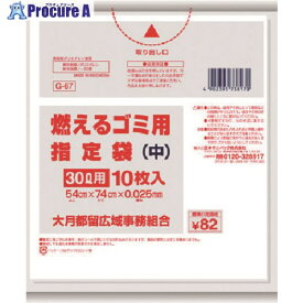 サニパック 大月都留指定袋家庭用可燃 中 10枚 とって付き 白半透明 G-67 50冊 ■▼151-6117 ※個人宅様送り不可