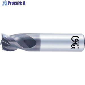 OSG ���d�h�U�^�G���h�~�� �������ՑΉ��^ AE-VTSS 8557256 AE-VTSS 10X10X10 (8557256) 1�{ ����398-4529 �y�����s�x���ρz ��YA513