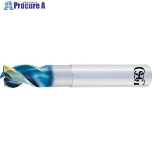 OSG ��S�pDLC���d�G���h�~�� 3�n �V���[�g�` ���W�A�X AE-TS-N 8557393 AE-TS-N 12X36XR0.5(8557393) 1�{ ����407-4026 �y�����s�x���ρz ��YA513