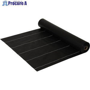 ���� �^�[�s�[ �O�����h�o���A�N���X-10(�h���p�V�[�g) �u���b�N(���ʃ��~�t) 2.0m×50m/R GBC10L-2050 1�{ ����437-7107 �y�����s�x���ρz���ԏ�n��