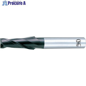 OSG ���d�e�[�p�[�G���h�~�� FX�R�[�g2�n �V���[�g 8536098 FX-MG-TPDS-4X10(8536098) 1�{ ����822-7339 �y�����s�x���ρz ��YA513