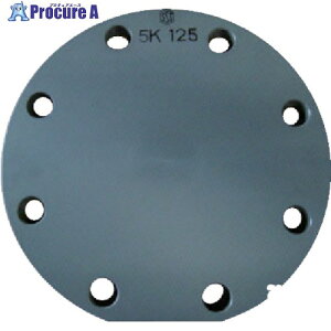 GX tWSB^ 125 JIS5K PVC FSB1Q5 1 850-6179yϕszysxρz