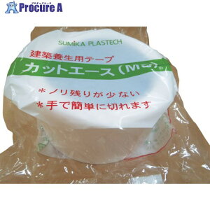 �Z�� �J�b�g�G�[�X MS �� 50×50 ACE-MS-W5050 30�� ����859-2993 �y�����s�x���ρz