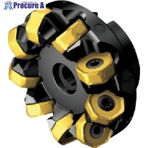 SANDVIK �R���~��CoroMill[[R��]]745 ���ʃt���C�X�J�b�^�[(450) 745-080Q27-21M (450) 1�� ����123-6922 �y�����s�x���ρz ��KO521