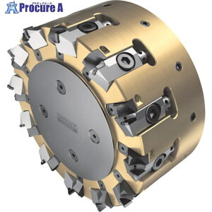 SANDVIK �A���~������p�t���C�X�J�b�^�[M5R90(450) 5R90-080Q27-10HX (450) 1�� ����350-5700 �y�����s�x���ρz ��KO521