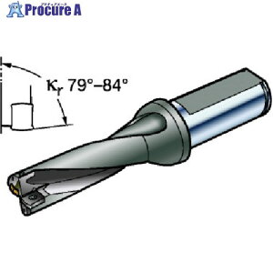 SANDVIK �n��������h���� �R���h����881 �~���V�����N(465) 881-D1750L25-02 (465) 1�{ ����566-1030 �y�����s�x���ρz ��KO521
