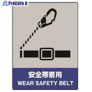 jbg JISHASW SђpEGRj{[hE400X300 800-19 1 741-9171 ysxρz