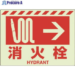 jbg ~XebJ[ ΐ  831-55 1 743-2691 ysxρz