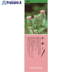 jbg V[M[ ڂ PVCXebJ[ 1000×320 916-35 1 745-3949 ysxρz