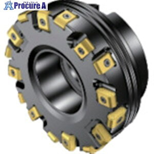 SANDVIK �R���~��425�J�b�^�[(230) 425-160Q40-17H (230) 1�� ����820-3030 �y�����s�x���ρz ��KO521