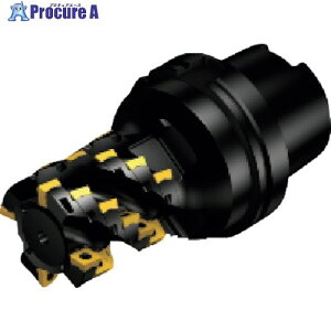 SANDVIK �R���~��CoroMill[[R��]]690 �������H�p�����O�G�b�W�J�b�^�[(440) 690-063HA12-10105H (440) 1�� ����857-9574 �y�����s�x���ρz ��KO521