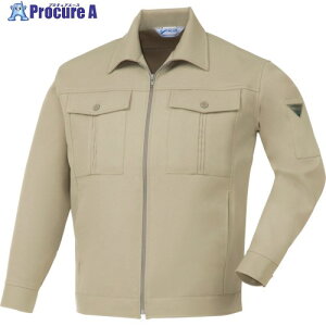 XEBEC DF�^�W�����p�[7570-30-4L �x�[�W�� 7570-30-4L 1�� ����860-8029 �y�����s�x���ρz