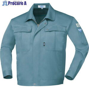 XEBEC �u���]��9190-43-5L �u���[�O���[ 9190-43-5L 1�� ����860-9909 �y�����s�x���ρz