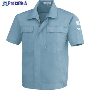 XEBEC �����u���]��9291-43-5L �u���[�O���[ 9291-43-5L 1�� ����861-7830 �y�����s�x���ρz