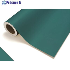 P~J JbeBOV[g509r[h1010mm×20m CS1010509F 1 424-9742 ysxρz