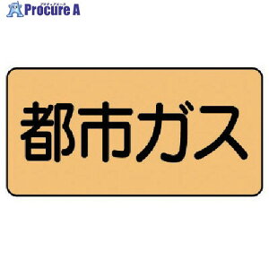 jbg zǃXebJ[ ssKX(ɏ) A~ 30×60 10g AS.4.2SS 1g 746-1577 ysxρz