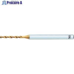 OSG EX�S�[���h�h���� �X�e�����X�E��|�p�~�f�B�A���` 8610162 EX-SUS-GDN-1.62(8610162) 1�{ ����822-5380 �y�����s�x���ρz ��YA513