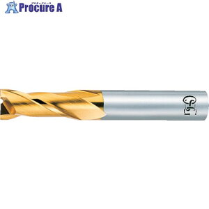 OSG �n�C�X�X�N�G�A�G���h�~�� TiN�R�[�g2�n�~�f�B�A�� 8403870 EX-TIN-EDN-10(8403870) 1�{ ����822-6628 �y�����s�x���ρz ��YA513