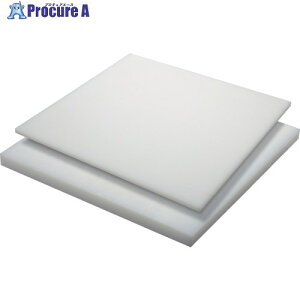 �^�L���� HDPE 100T×500×1000 �� TP-PE-PLATE-720A-100-500-1000 1�� ����124-1995 �y�����s�x���ρz���l��l����s��