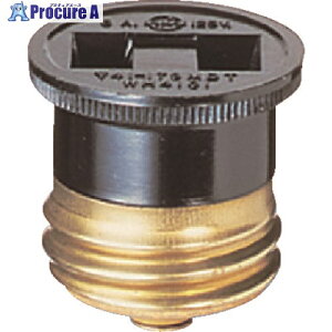 Panasonic Zp{fB WH4101 10 158-1552ysxρz YA513