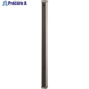 SANEI ؖڒ T803-60X900-D 1{ 167-0594 lls