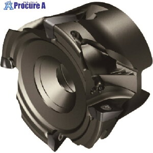 SANDVIK �R���~��390�J�b�^�[(450) R390-040Q16LW-11M (450) 1�� ����205-9586 �y�����s�x���ρz ��KO521
