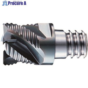 OSG PHOENIX �w�b�h�������G���h�~�� PXM ���t�B���O�^�C�v 7830463 PXM PXNH200C20-04C006-O (7830463) 1�� ����227-2259 �y�����s�x���ρz ��YA513