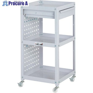 }ebN RrjS iCLX^[ p`OplELrlbgt3i W400×D400×H810mm p[sN WCLPCN-3-P 1 324-2987