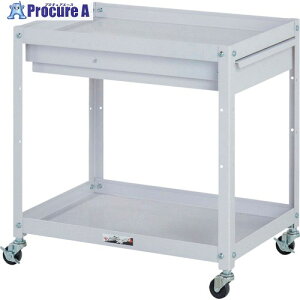 }ebN RrjS Lrlbgt2i W600×D400×H600mm p[sN WCC-2-P 1 324-3043