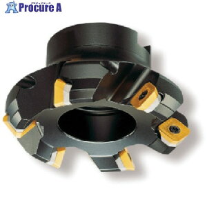 SANDVIK �R���~��CoroMill[[R��]]245 ���ʃt���C�X���H�p�J�b�^�[(450) R245-125Q40-18M (450) 1�� ����574-8399 �y�����s�x���ρz ��KO521