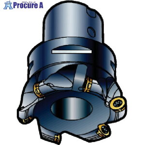 SANDVIK �R���~��300 ���ʃt���C�X�J�b�^�[(440) R300-125Q40-20H (440) 1�� ����575-1136 �y�����s�x���ρz ��KO521