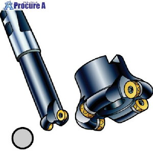 SANDVIK R~200Jb^[(450) RA200-068J25.4-12M (450) 1 577-5604 ysxρz KO521