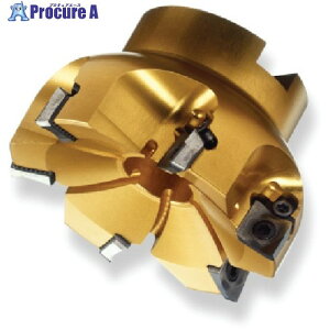 SANDVIK �R���~��CoroMill[[R��]]Century �t�F�[�X�~�����O�J�b�^�[(450) RA590-125J38S-11M (450) 1�� ����577-6449 �y�����s�x���ρz ��KO521