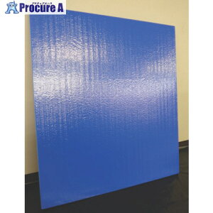 �~�i �~�i�X�y�[�T�[���Ԕ~���Y TB2023 20mmx1100mmx2300mm TB2023 10�� ����816-6605 ���l��l����s��