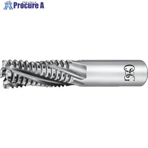 OSG ���t�A���h�t�B�j�b�V���G���h�~�� ���M���� 80928 RFE-28(80928) 1�{ ����823-8888 �y�����s�x���ρz ��YA513