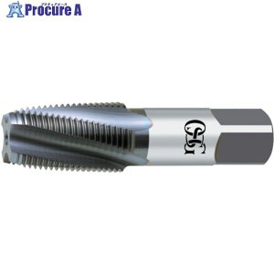 OSG Ǘpe[p[^bv(A~pVR[eBO) 8313701 V-AL-TPT-2-PT1/8 - 28(8313701) 1{ 824-1234 ysxρz YA513